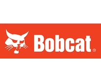 Bobcat